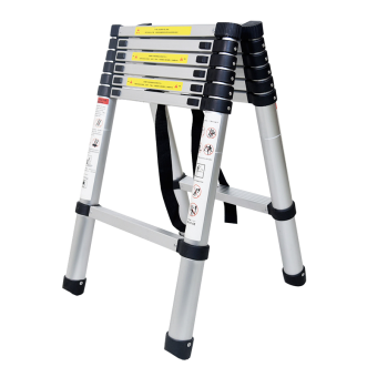 telescopic ladder