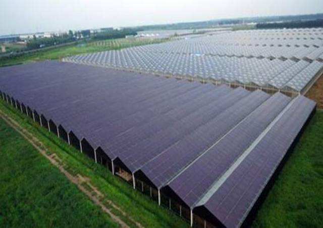 The magical solar farm mounting systems gives green plants a superior growth environment